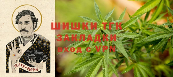 прущие грибы Вяземский