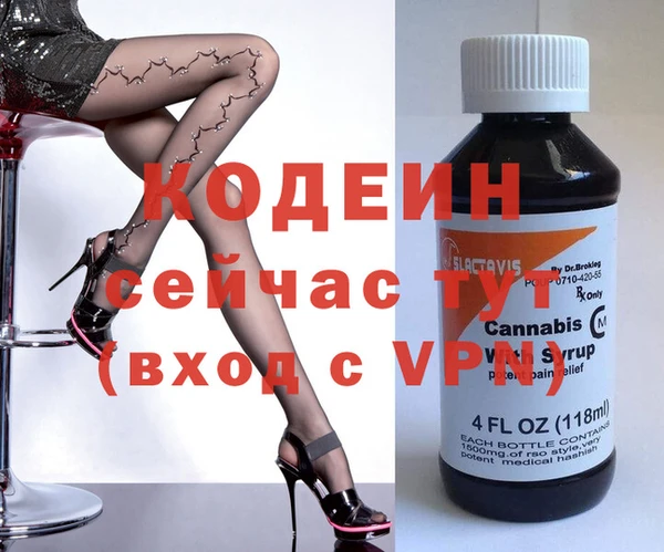 прущие грибы Вяземский