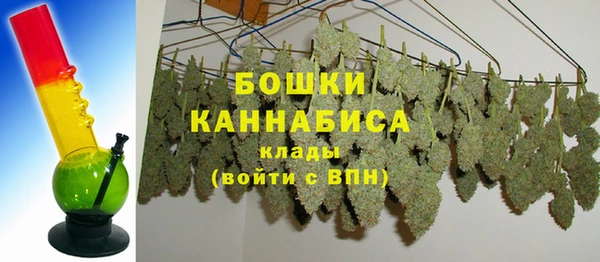 прущие грибы Вяземский