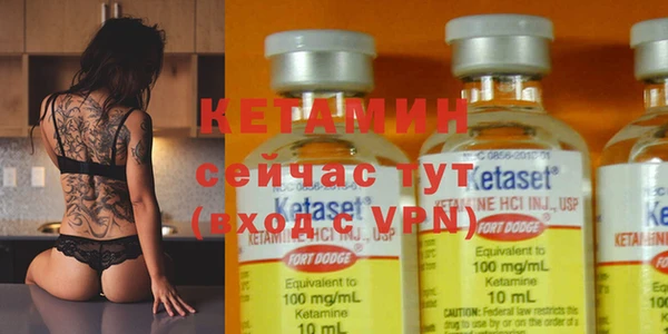 прущие грибы Вяземский
